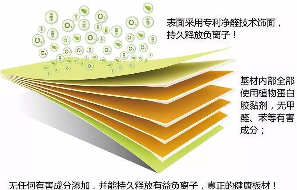 濃情端午,粽葉飄香 環(huán)保生活，健康你我